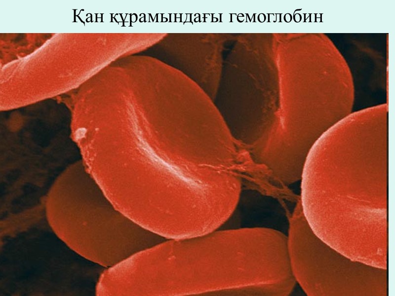 Қан құрамындағы гемоглобин